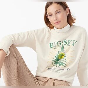 J. Crew | medium Big Sky destination graphic cotton‎ crewneck pullover